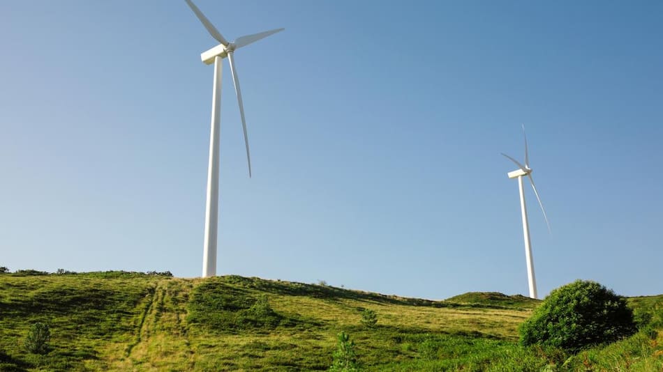 Parques eólicos. Foto: Aduana, AFIP.