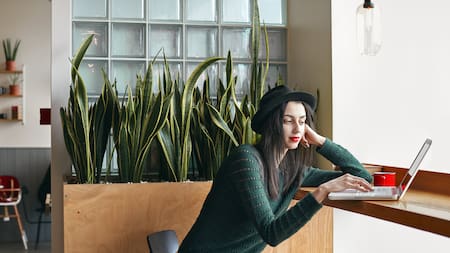 Para beneficiar el ambiente laboral: las 5 plantas que mejoran la concentración y reducen el estrés