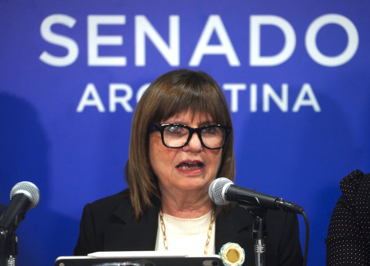 La jefa del bloque de LLA en el Senado afirmó que “es un acuerdo muy bueno para el país”