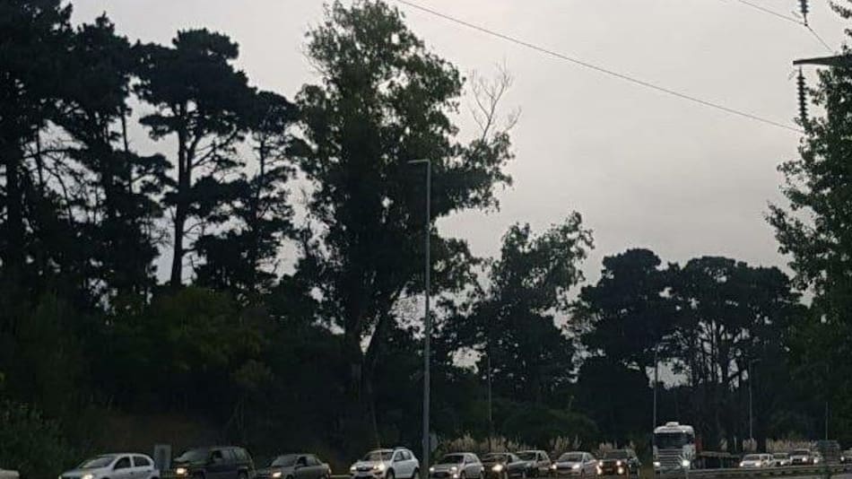 Largas filas en Pinamar y Villa Gesell