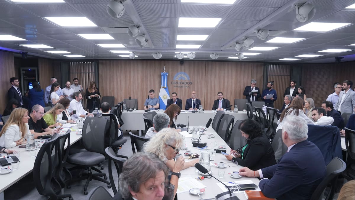 comisión investigadora especial del caso $LIBRA.