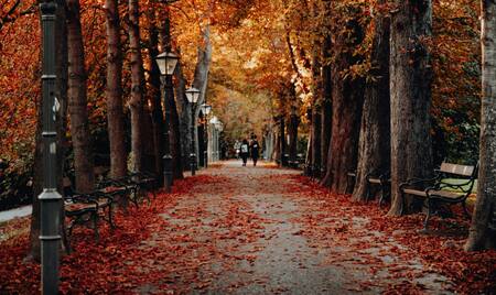 Otoño. Foto: Unsplash.