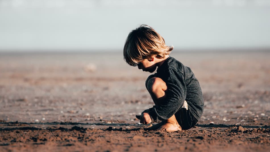 Trágico accidente en Estados Unidos. Foto: Unsplash