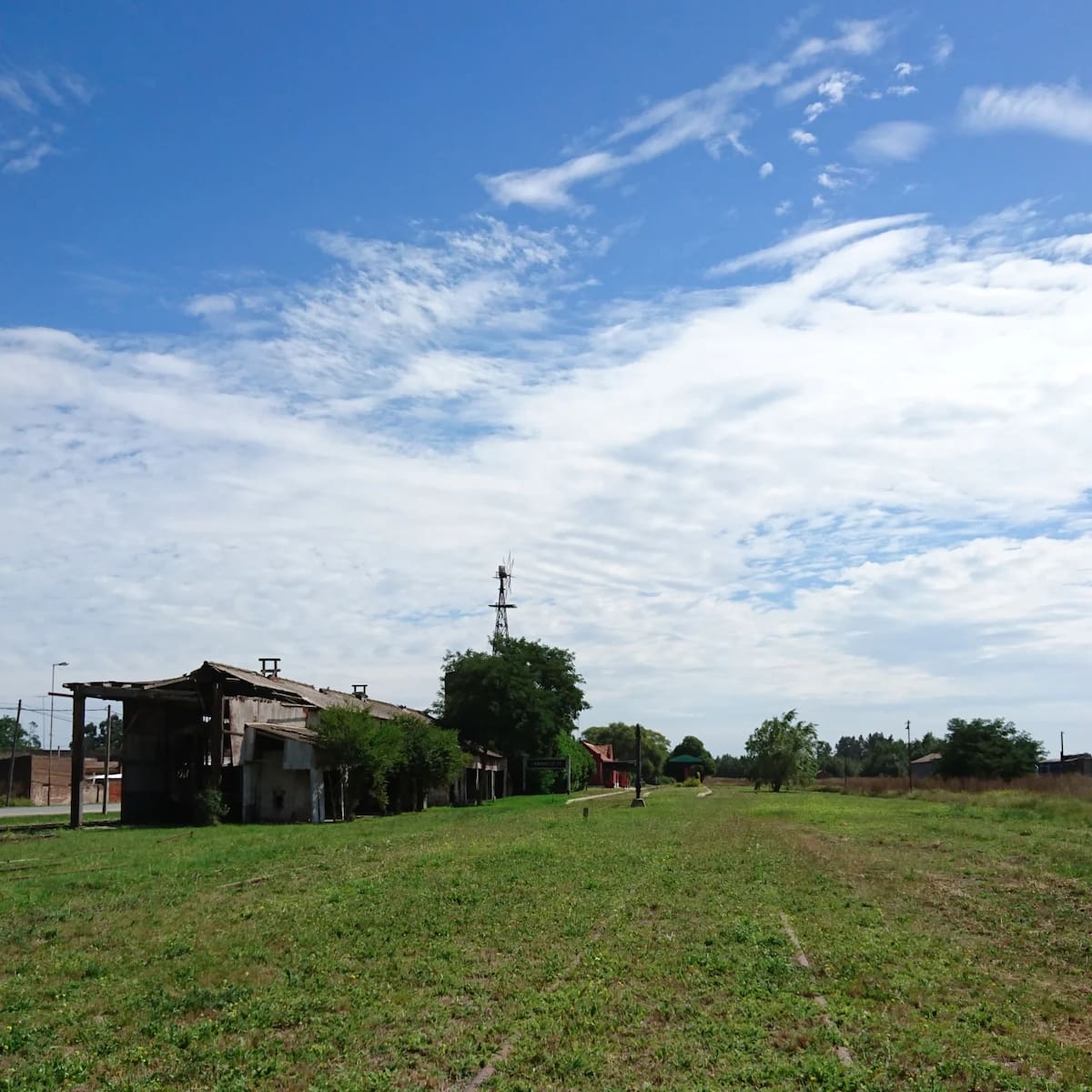 Tamangueyú