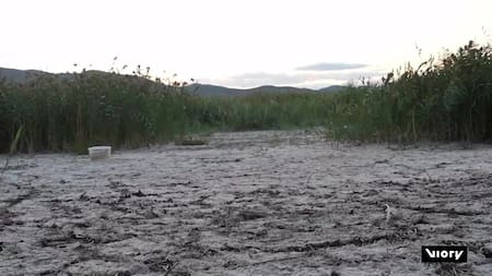 Sequía en la frontera entre Grecia y Macedonia del Norte. Foto: Captura de video/ Viory.
