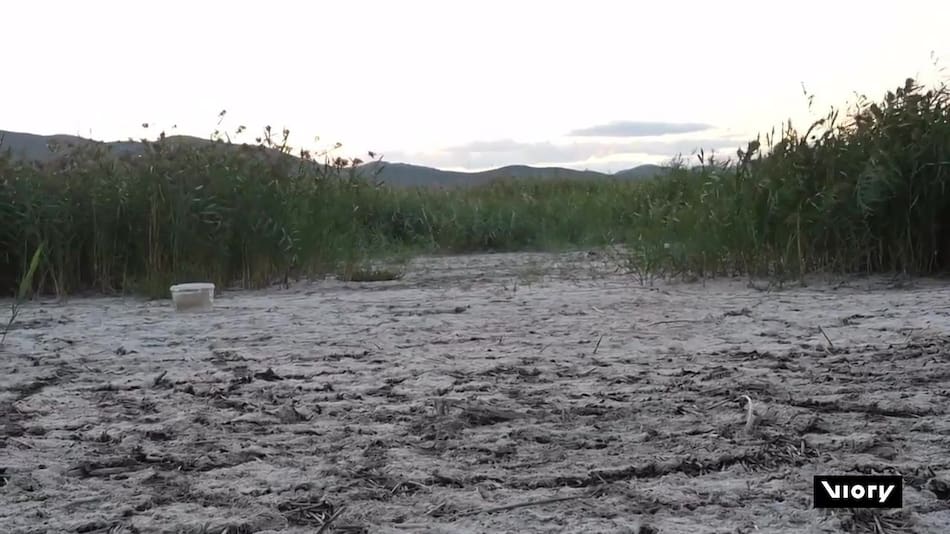 Sequía en la frontera entre Grecia y Macedonia del Norte. Foto: Captura de video/ Viory.