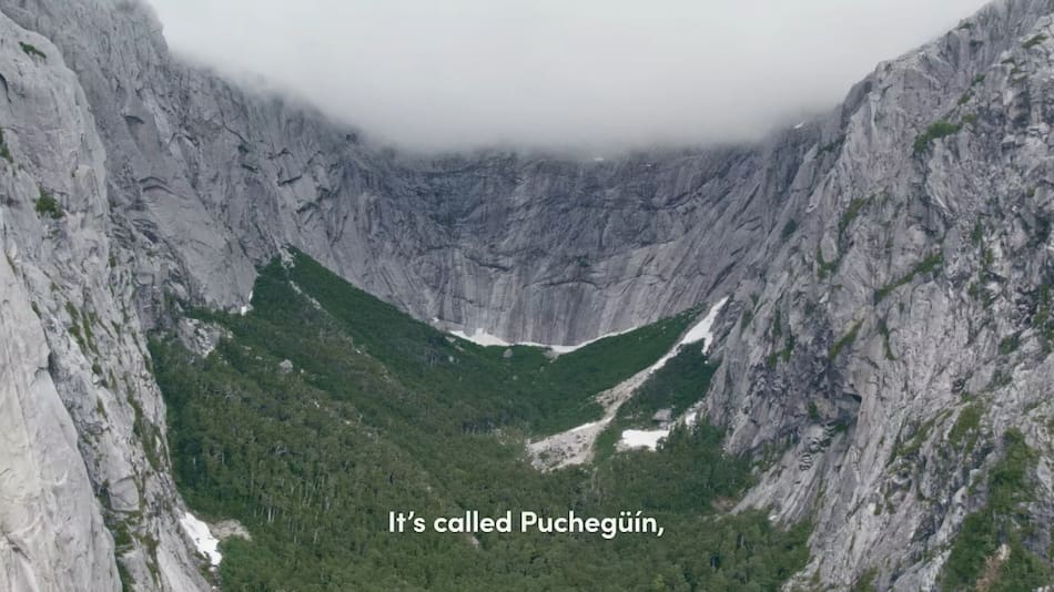 Conserva Puchegüín. Foto: captura