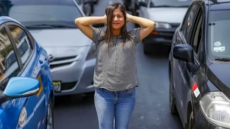 Contaminación sonora. Foto: CONICET NOA SUR