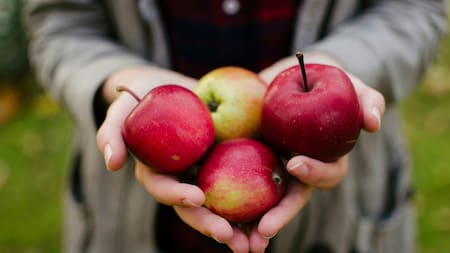 Manzana. Foto: Unsplash