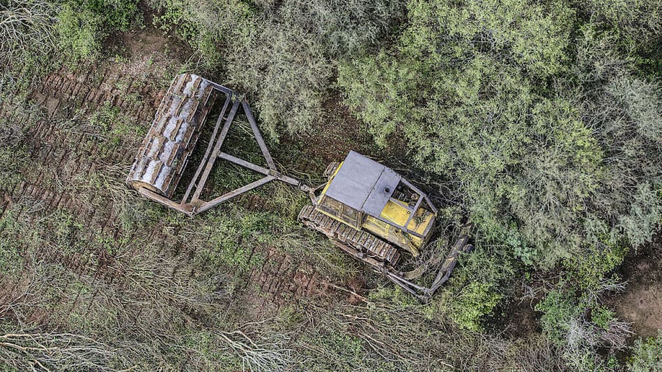 Desmonte en el norte argentino. Foto: Greenpeace Argentina