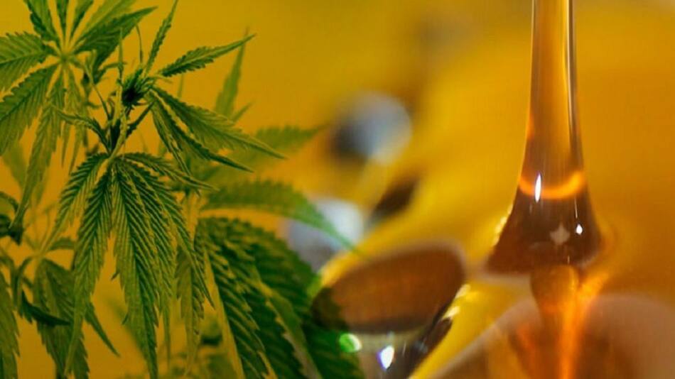 Hospital Garrahan: iniciaron ensayos médicos con aceite de cannabis