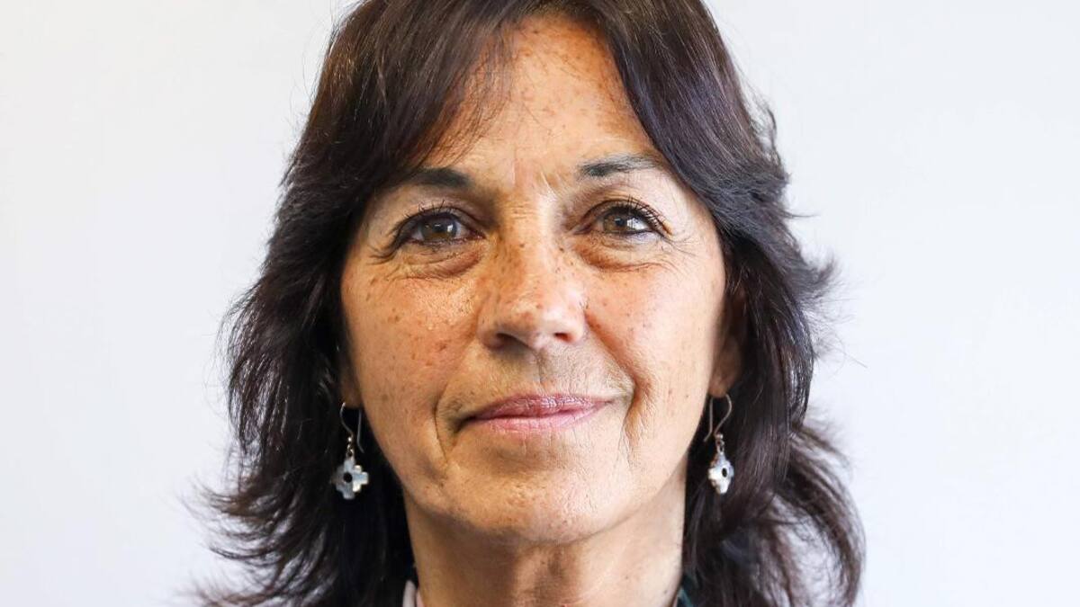 Vilma Ibarra, Gobierno, NA
