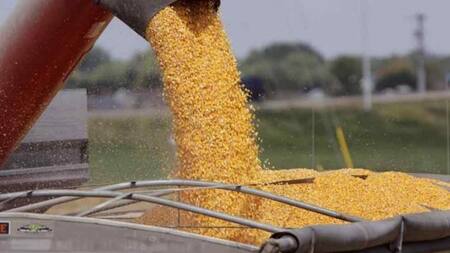 Acopiadores de granos - rechazo