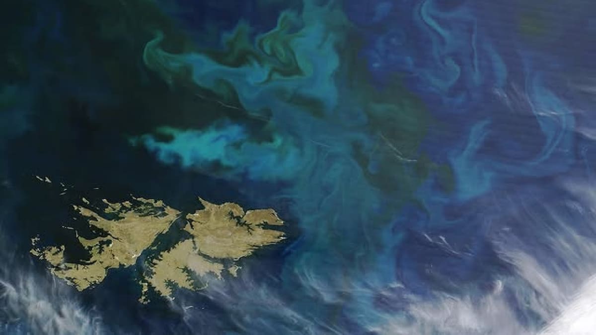 Un proyecto ubicado en la plataforma continental argentina fue rechazado por Cancillería. Foto: NASA/Jeff Schmaltz