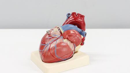 La Polipíldora: tres medicamentos en uno para reducir la mortalidad cardiovascular. Foto: Unsplash