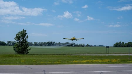 Alerta glifosato: un estudio reveló que este herbicida puede aumentar el riesgo de contraer cáncer de próstata