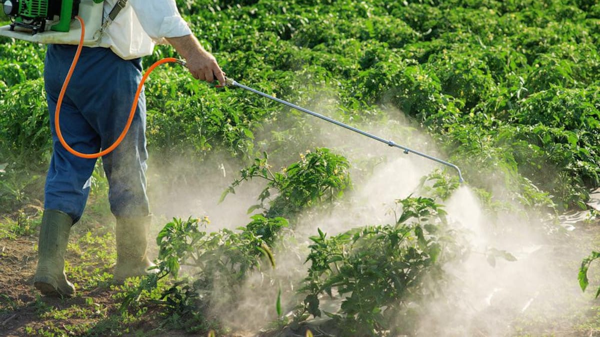 Agroquímicos