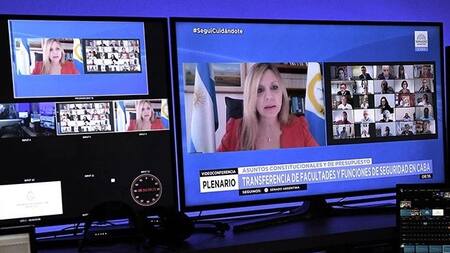 Senado, sesión virtual, teleconferencia