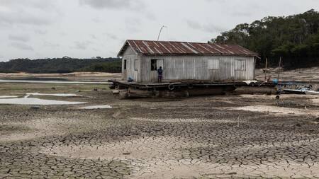 La superficie de agua en la principal zona de la Amazonía brasileña cae al menor nivel en 5 años. EFE
