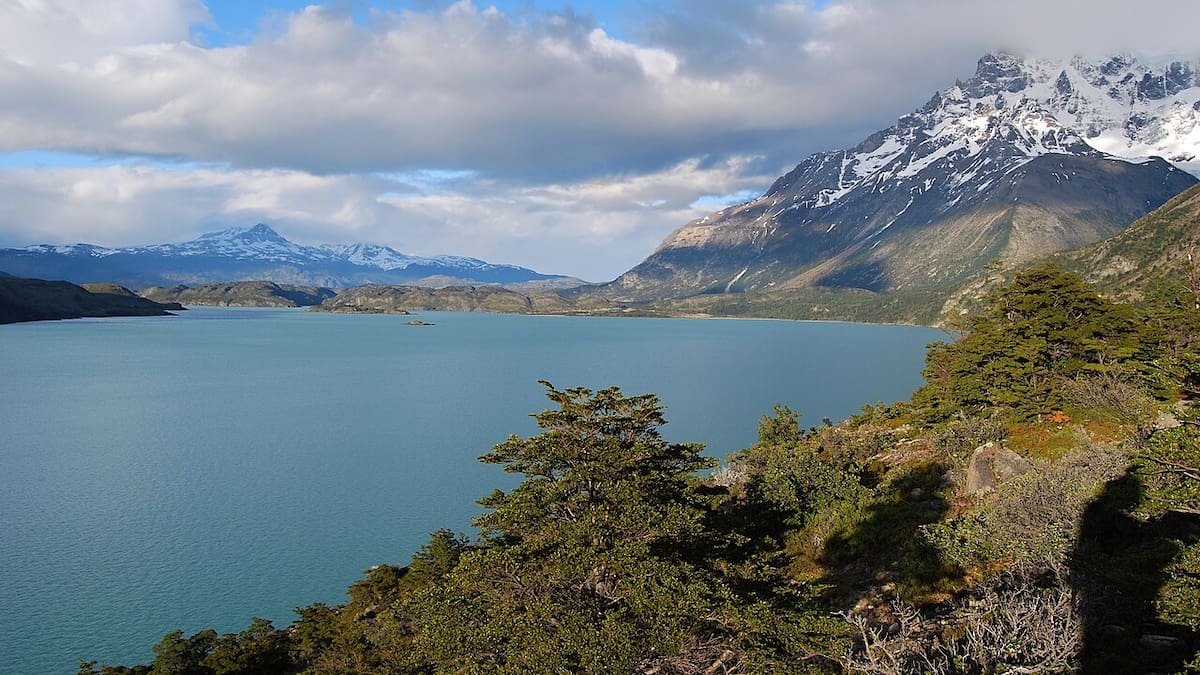 Naturaleza en peligro: la salmonicultura y la amenaza invisible sobre la Patagonia chilena
