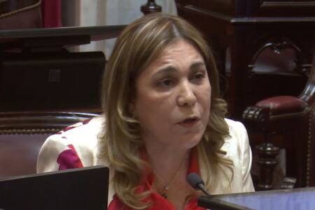 Beatriz Ávila, senadora del bloque Independencia