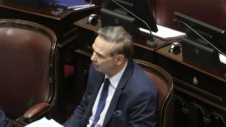 Miguel Ángel Pichetto, Senado, senador, peronismo, política, NA