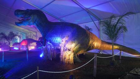 Vacaciones de invierno en el municipio de Merlo. Video: Prensa