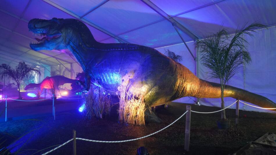 Vacaciones de invierno en el municipio de Merlo. Video: Prensa