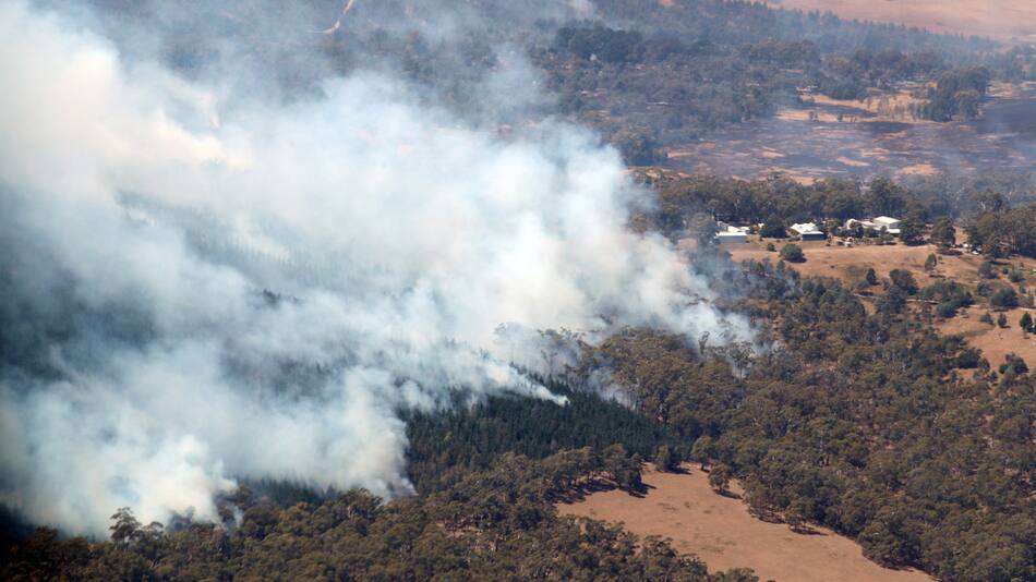 Incendios forestales en Australia. Foto: Reuters.
