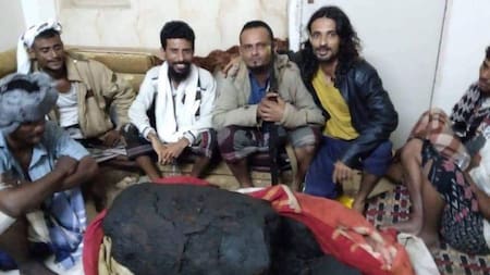 Insólito: se convirtieron en millonarios tras encontrar ámbar gris en el estómago de una ballena