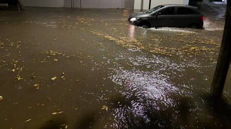 Temporal en el AMBA: las intensas lluvias y viento dejaron avenidas inundadas, destrozos en casas, autos flotando y árboles caídos
