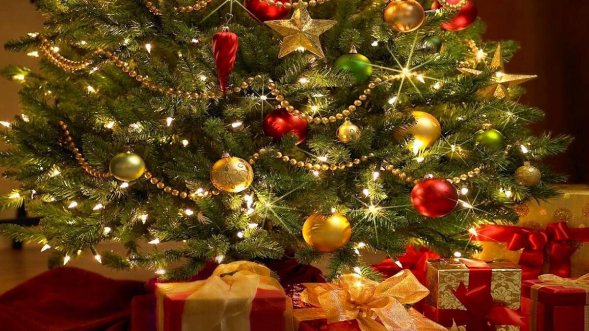 Árbol de Navidad, Fiestas, Arbolito