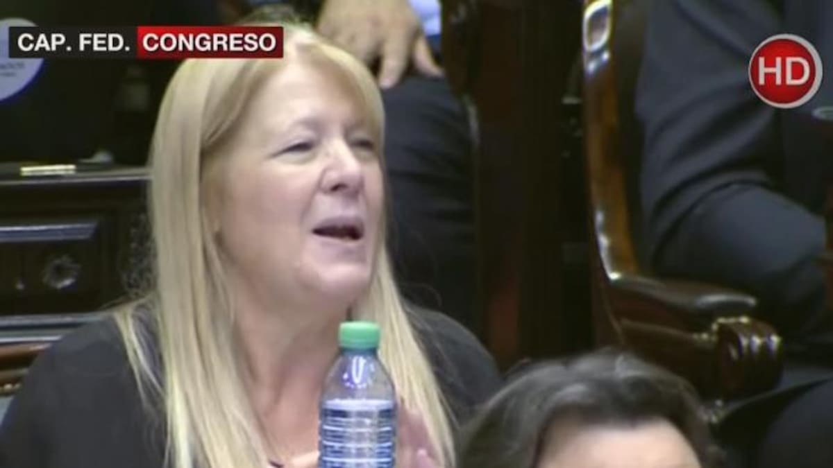 Margarita Stolbizer: "De Vido debería estar preso, pero no es el único"