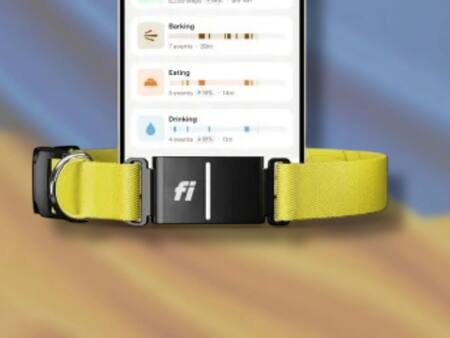 Collar con IA para perros. Fuente: Fi tecnología
