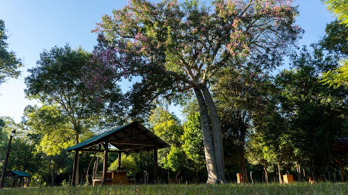 Parque Nacional Mburucuyá.