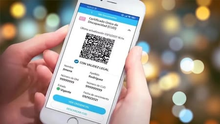 El Certificado Único de Discapacidad (CUD) tiene validez en toda la Argentina. Foto: NA.