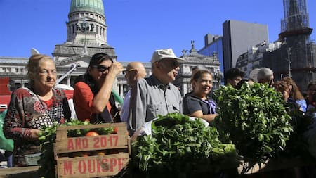 Verdurazo frente al Congreso - Protesta (NA)