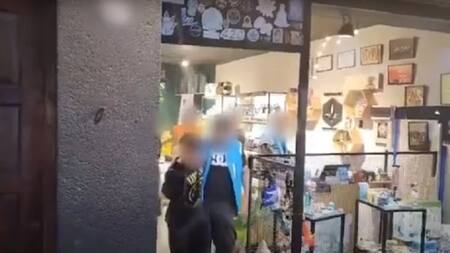 Operativo policial en growshop. Foto: NA.