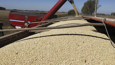 Dólar soja, economía argentina. Foto: NA.