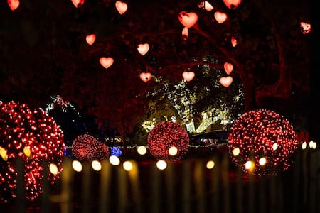 Navidad. Foto: Reuters