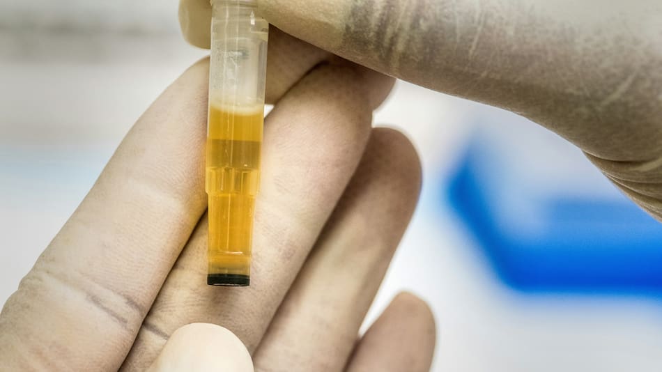 Ciencia, salud, investigación. Foto: Unsplash