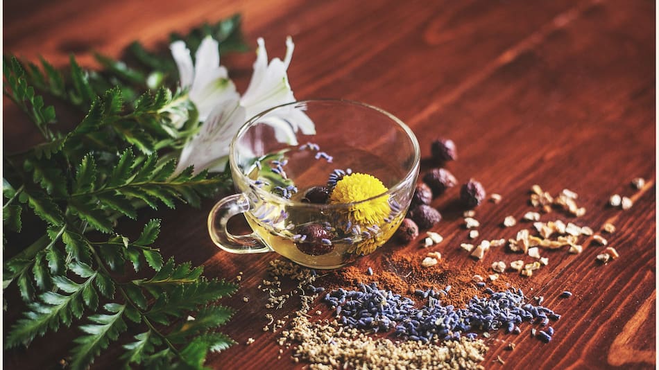 Té, infusión, plantas, hierbas, medicinal. Foto: Unsplash