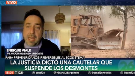 Enrique Viale sobre el desmonte en Chaco. Foto: Captura de video Canal 26
