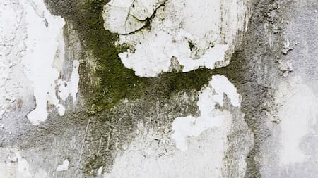 Humedad en las paredes. Foto: Freepik