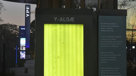 Árboles líquidos. Foto: Télam.