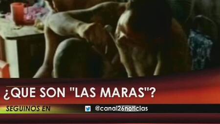 Informe sobre Las Maras (Canal 26)