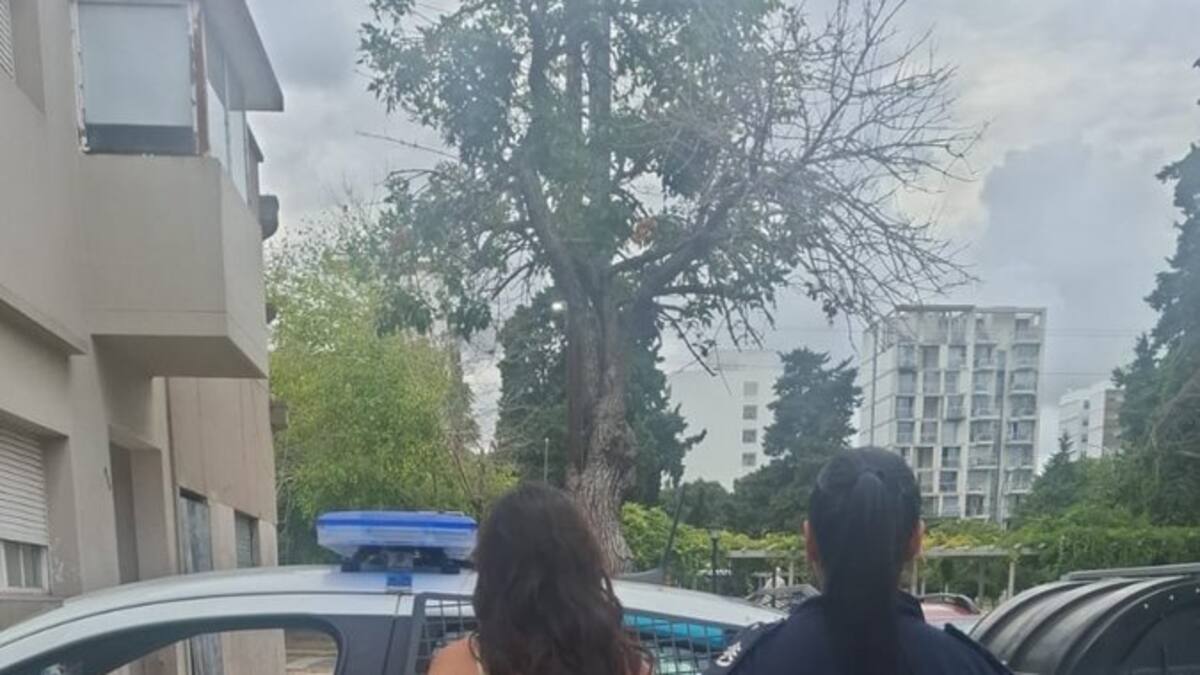 Qué declaró la mujer que quedó libre tras apuñalar a un jubilado que se estaba masturbando frente a sus hijos menores