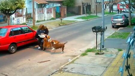 Ataque de pitbulls, captura pantalla