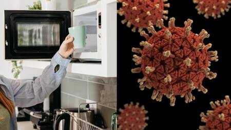 Bacterias en el microondas. Foto Unsplash.