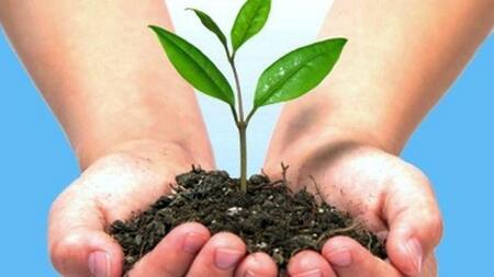 Medio Ambiente, Naturaleza, Ecología